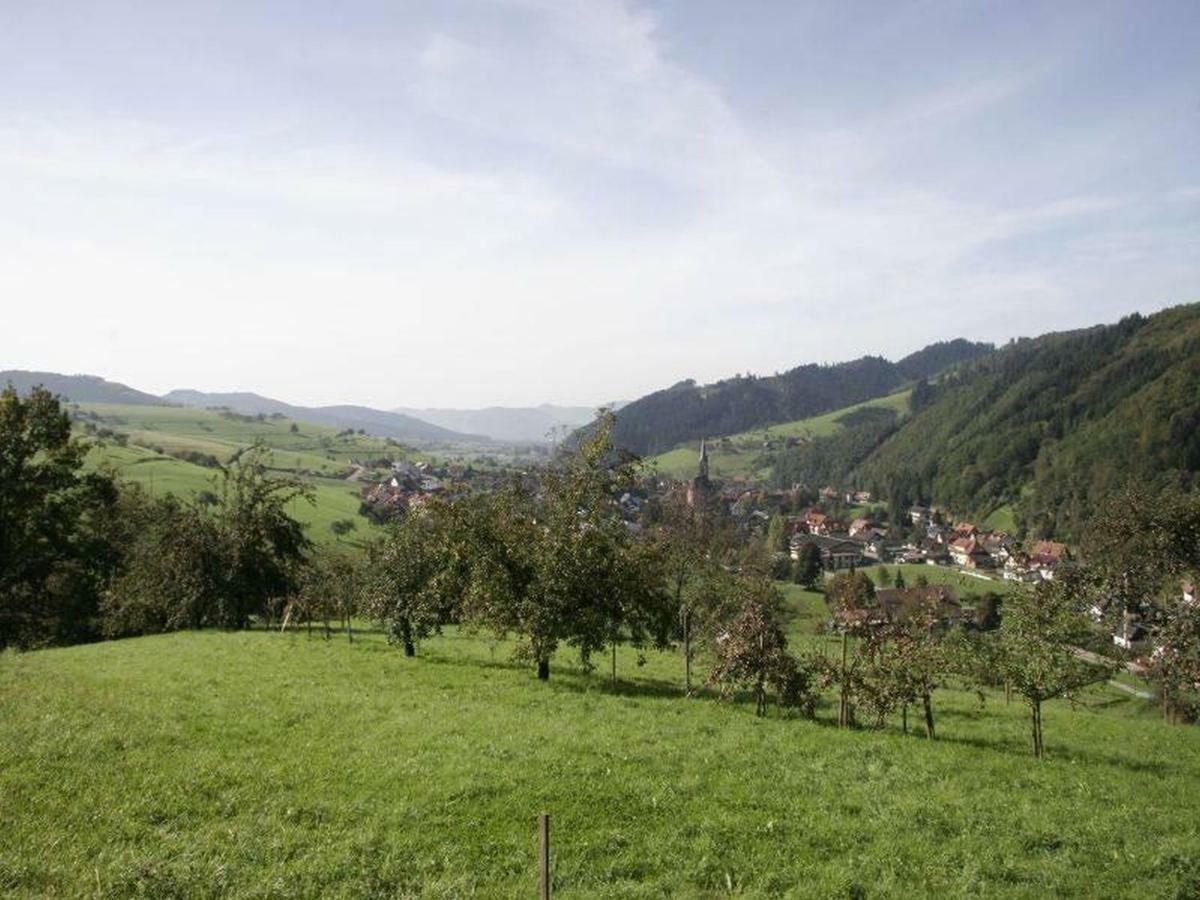 Pension Waldfrieden Оберхармерсбах Экстерьер фото